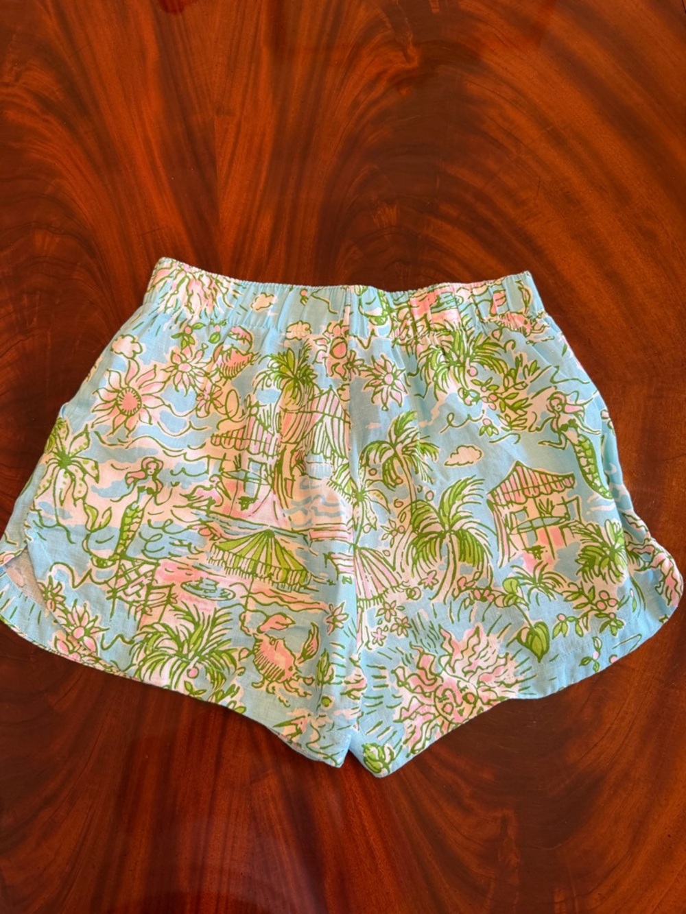 Lilly Pulitzer Sea View Linen Button Down & Elodey Shorts Set Sunbathers Bliss M - Picture 12 of 14